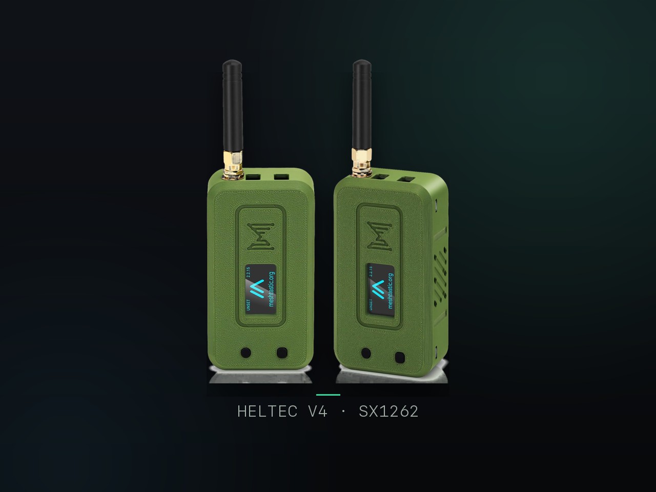 Sentinel Node V4